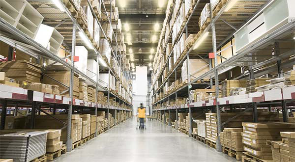 Techo Lighting